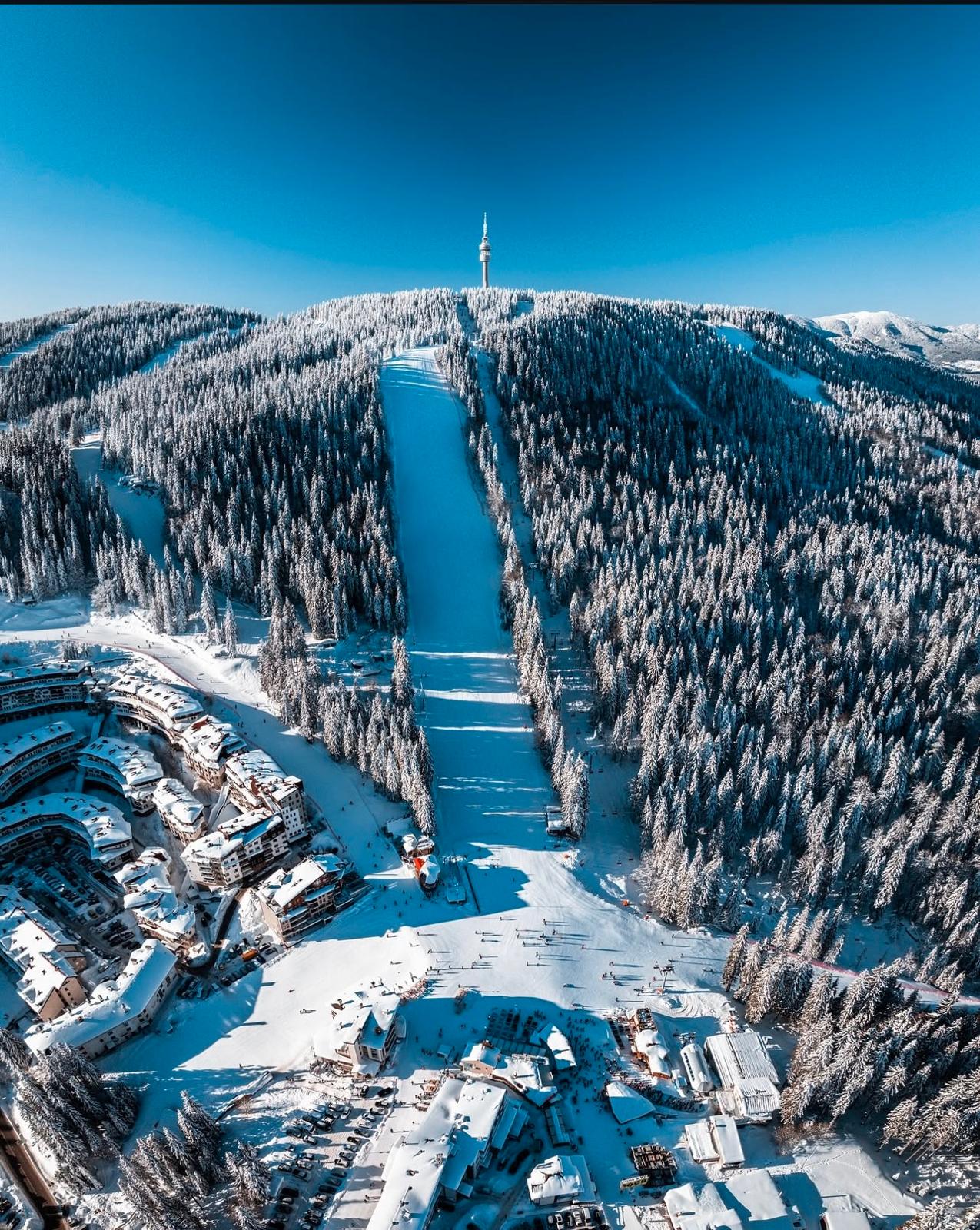 The Bear Pamporovo